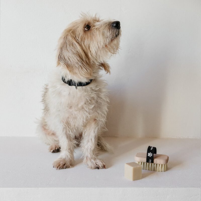 1600-2.jpg 1600-2.jpg