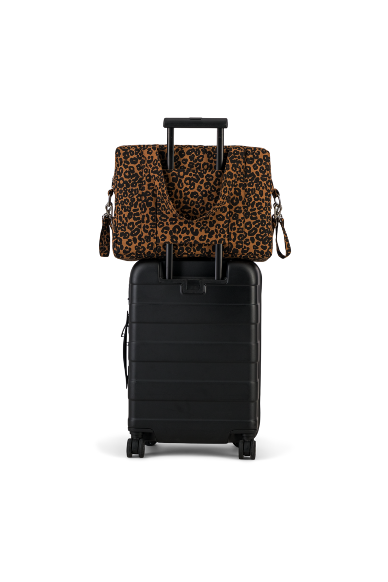 DARCY-Leopard-Tobacco6.png DARCY-Leopard-Tobacco6.png