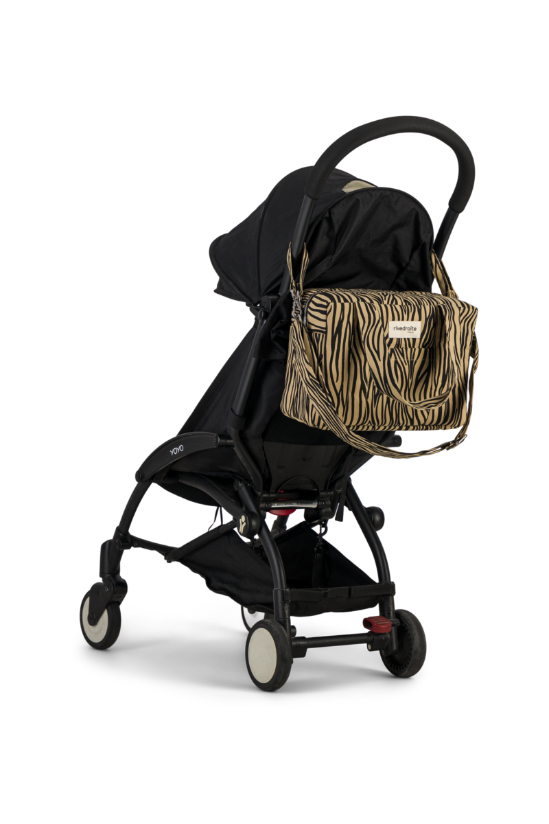 MINI-DARCY-Zebre5.png MINI-DARCY-Zebre5.png