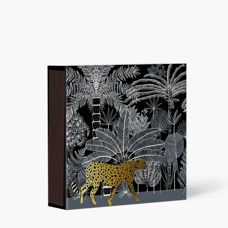 allumettes-guepard-496741.jpg allumettes-guepard-496741.jpg