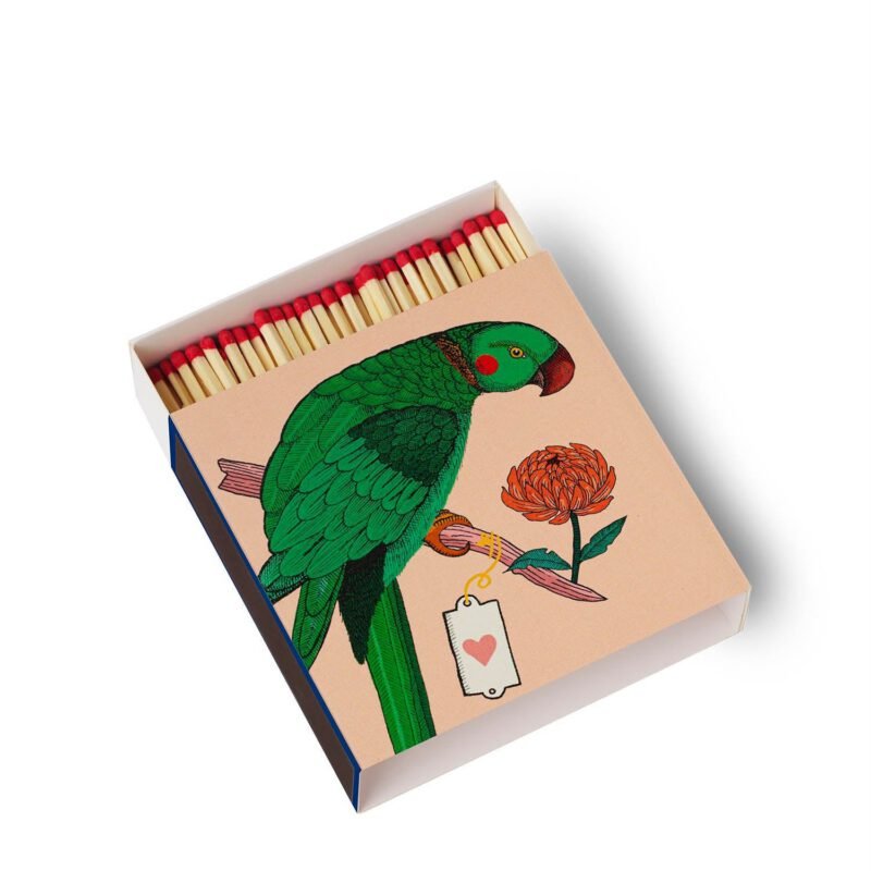 allumettes-perroquet-116637.jpg allumettes-perroquet-116637.jpg