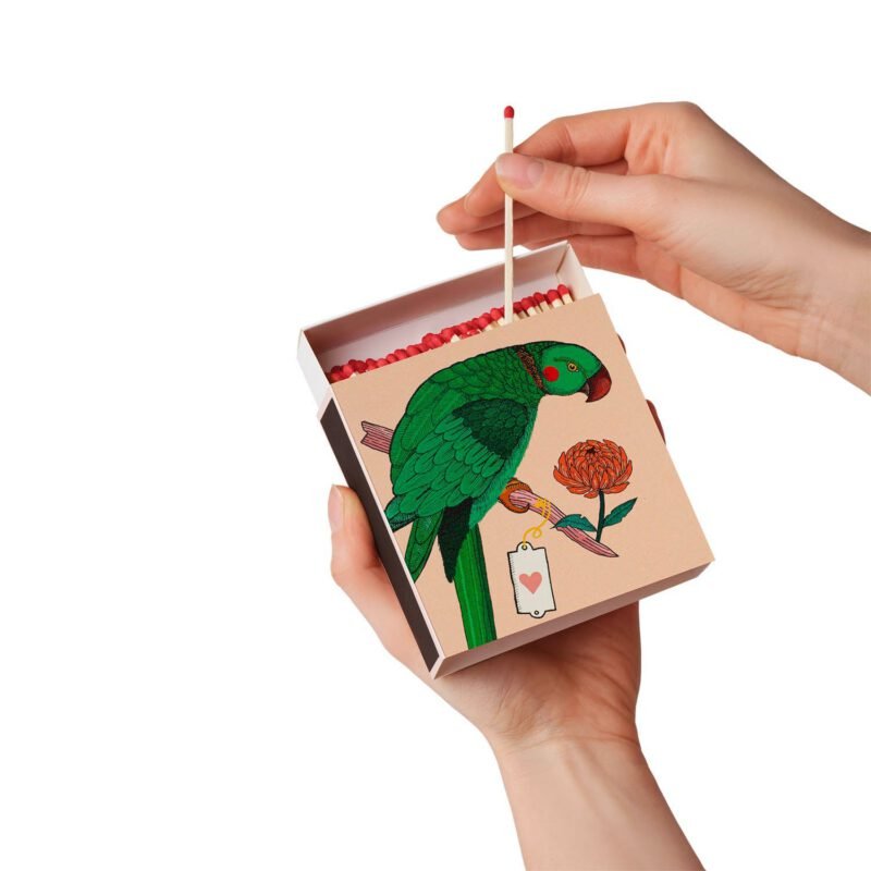 allumettes-perroquet-412627.jpg allumettes-perroquet-412627.jpg