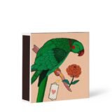 allumettes-perroquet-512525.jpg